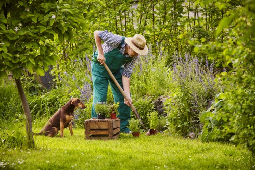 Team member inspecting a residential lawn