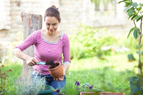 A woman in a pink and white striped long-sleeve top is gardening outdoors in a well-maintained garden, holding a small terracotta pot filled with soil and planting a purple-flowered plant. The garden features a lush green lawn in the foreground, bordered by flower beds with various plants, and a wooden fence in the background. To her left, there is a green plastic container, and to her right, partially visible potted plants and a small shrub. The environment appears bright and sunny, with natural light illuminating the scene and casting soft shadows, indicative of a clear day. The setting suggests a typical residential garden, possibly in Dulwich or nearby areas, with a focus on gardening activities such as planting and soil preparation, highlighting professional garden maintenance and landscaping services offered by companies like Lawn Mowing Dulwich.