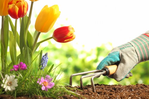 Lush green lawn being maintained by experts