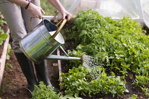Professional hedge trimmers maintaining a garden hedge