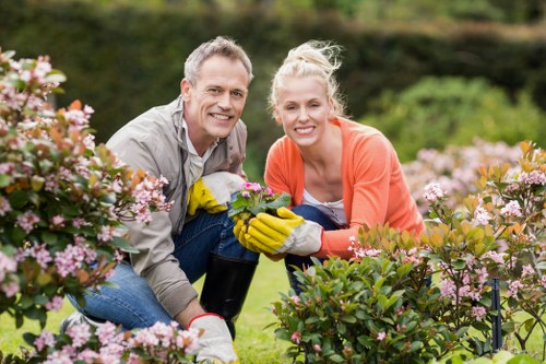 A smiling middle-aged man and woman are kneeling in a well-maintained garden with vibrant pink flowering shrubs in the foreground. The garden features a lush, green lawn bordered by neatly trimmed bushes and hedges, with a backdrop of taller trees and additional cultivated greenery under a clear, bright sky. The man is dressed in a light grey shirt, while the woman wears an orange cardigan and light top, both wearing yellow gardening gloves and holding gardening tools and plants. The scene showcases outdoor gardening activity, possibly planting or pruning, in a suburban or residential outdoor space near Dulwich, with natural sunlight illuminating the area, emphasizing the healthy, dense grass and vibrant flower blooms which highlight professional lawn and garden maintenance services typical of Dulwich Lawn Mowing Services.