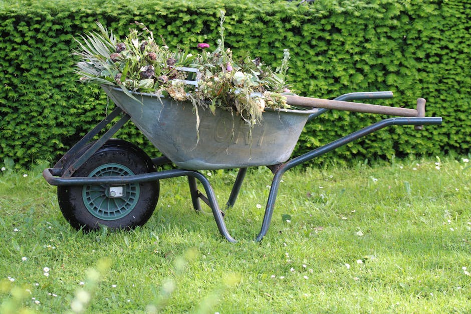 A gardener, wearing a dark jacket and a grey wide-brimmed hat, is seen from behind trimming a neatly maintained hedge with a pair of large pruning shears during daylight. The hedge is lush and green,